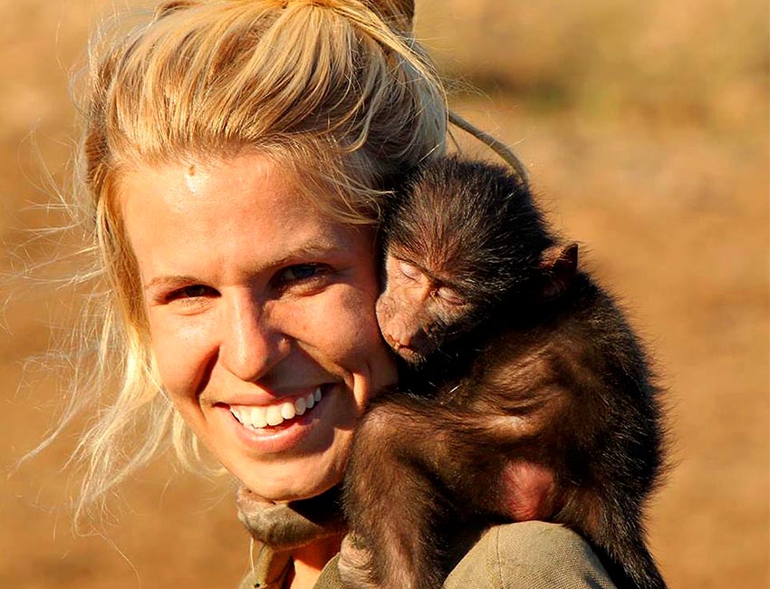 Baboon Asleep on Shoulder