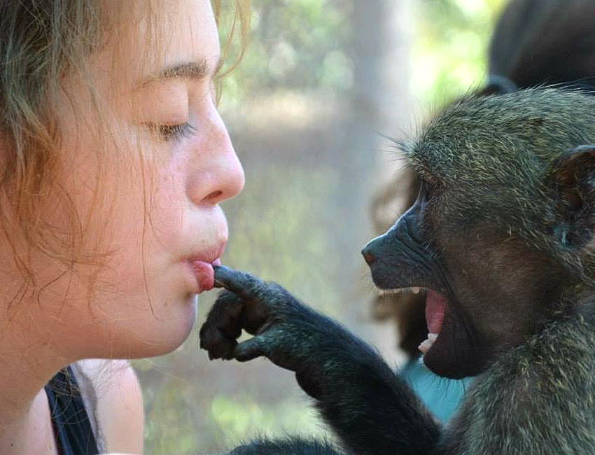 Baboon Finger Tastes Good