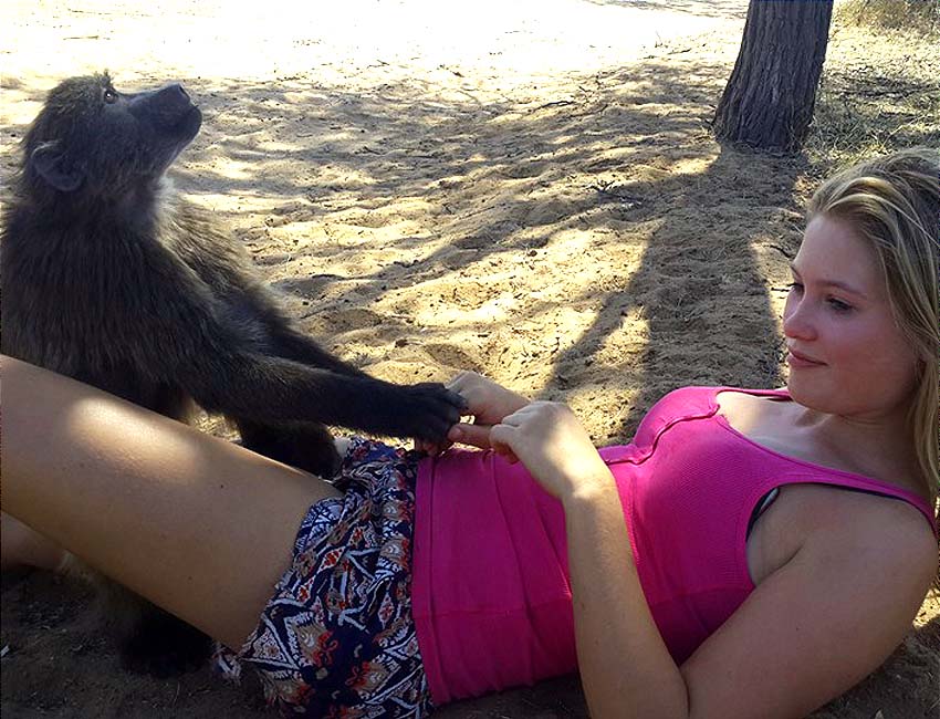 Baboon Friend