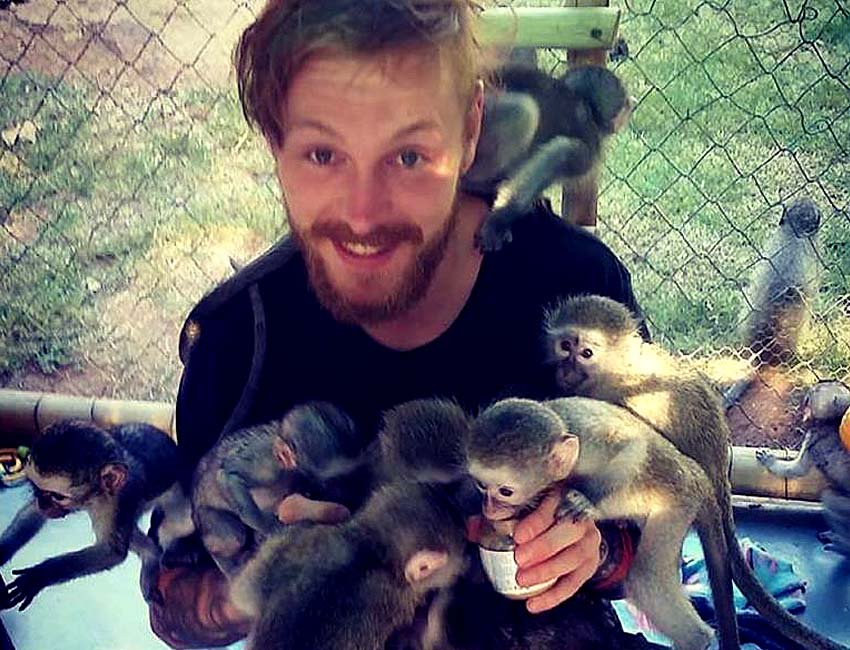 Bearded Guy with Pinkfaced Vervets