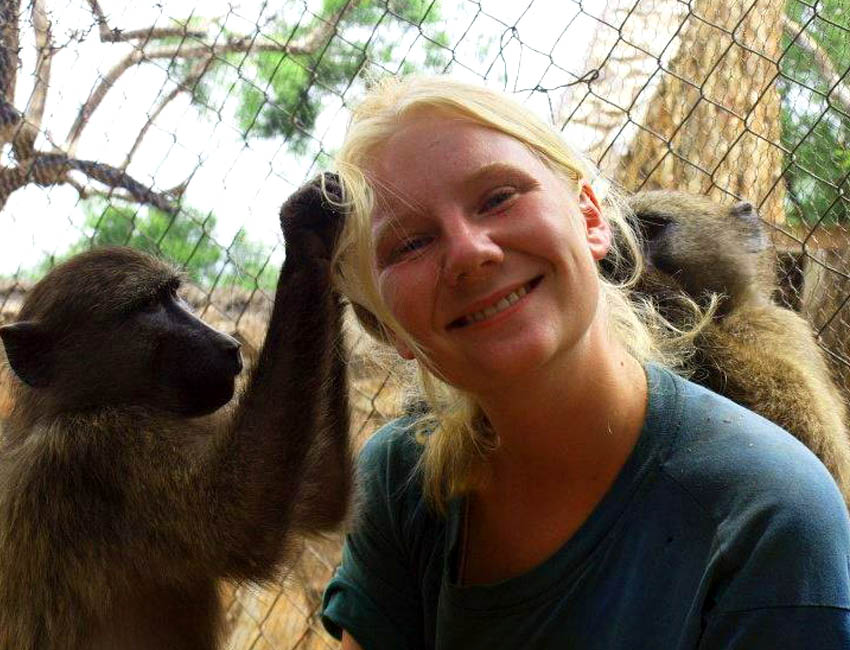 Being Groomed by Baboon