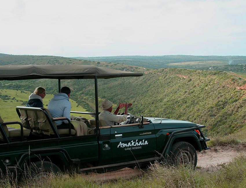 Game Drive 2