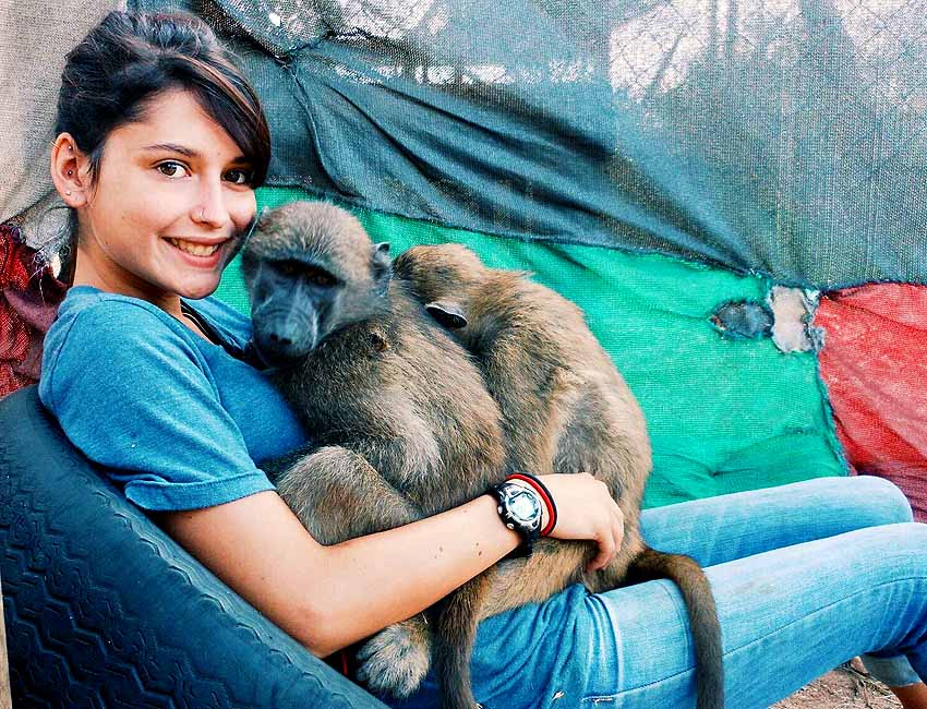 Girl on Tire with Two Baboon