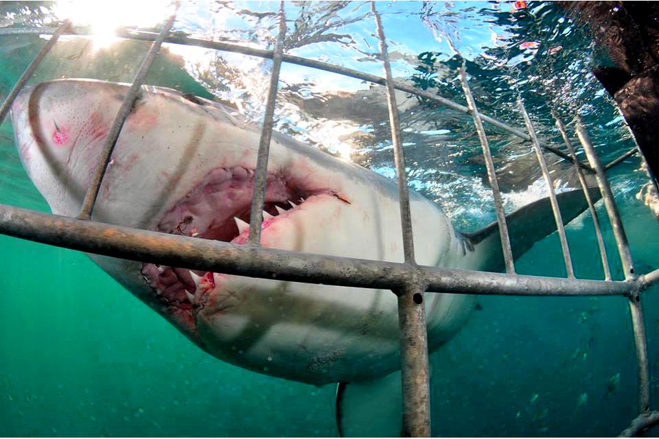 I Know You Are In There