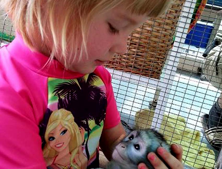 Little Girl with Baby Vervet