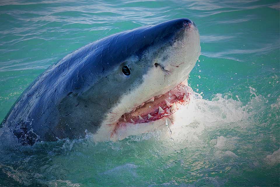 Looking for a Handout