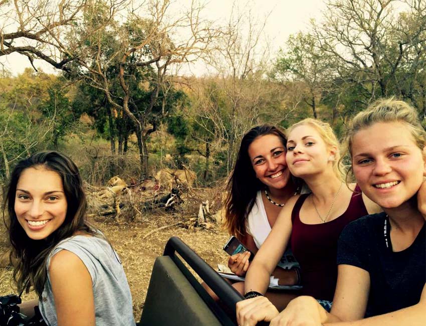 A Magnificent Boabab Tree