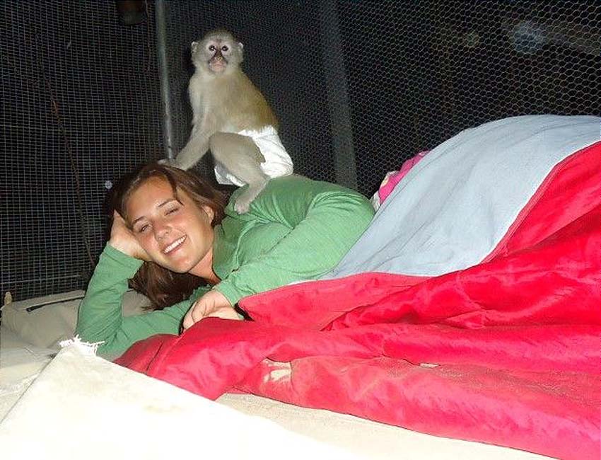 Sleeping with the Vervets