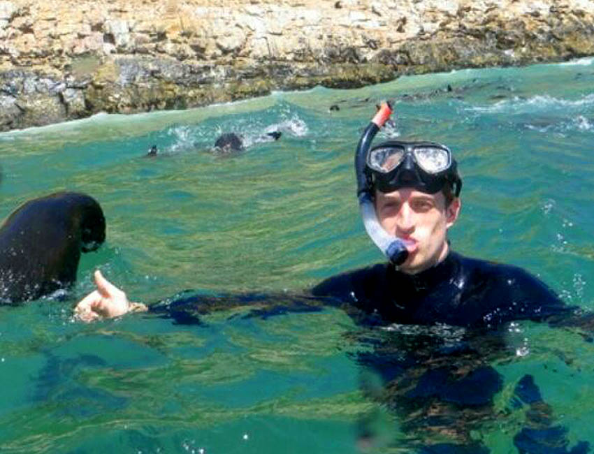Snorkeling with Seals