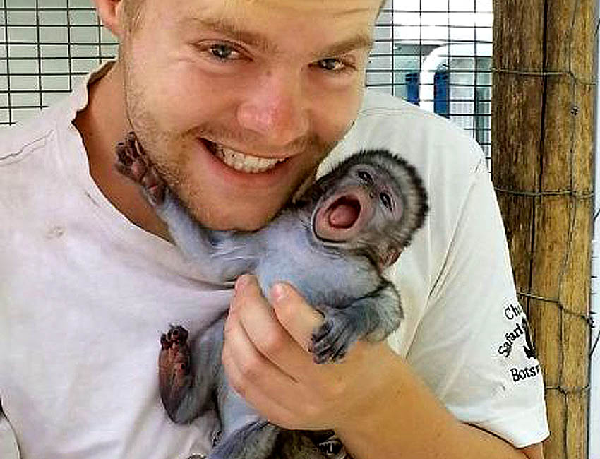 Guy with Squalling Baby Vervet