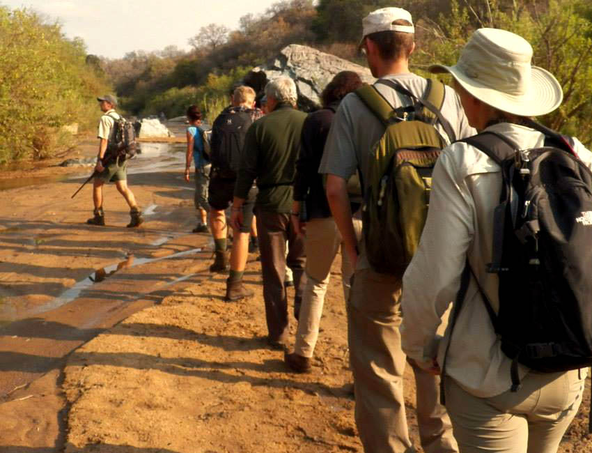 Volunteers on a Bush Walk