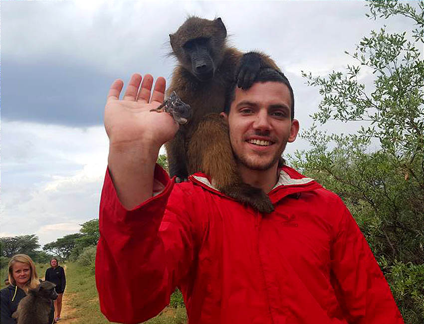 Baboon Hitchin Ride 2